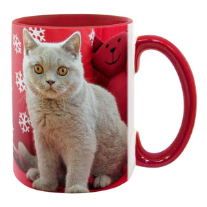 15 oz Inner & Handle Colored Mug - Red , Accent Mugs , PHOTO USA