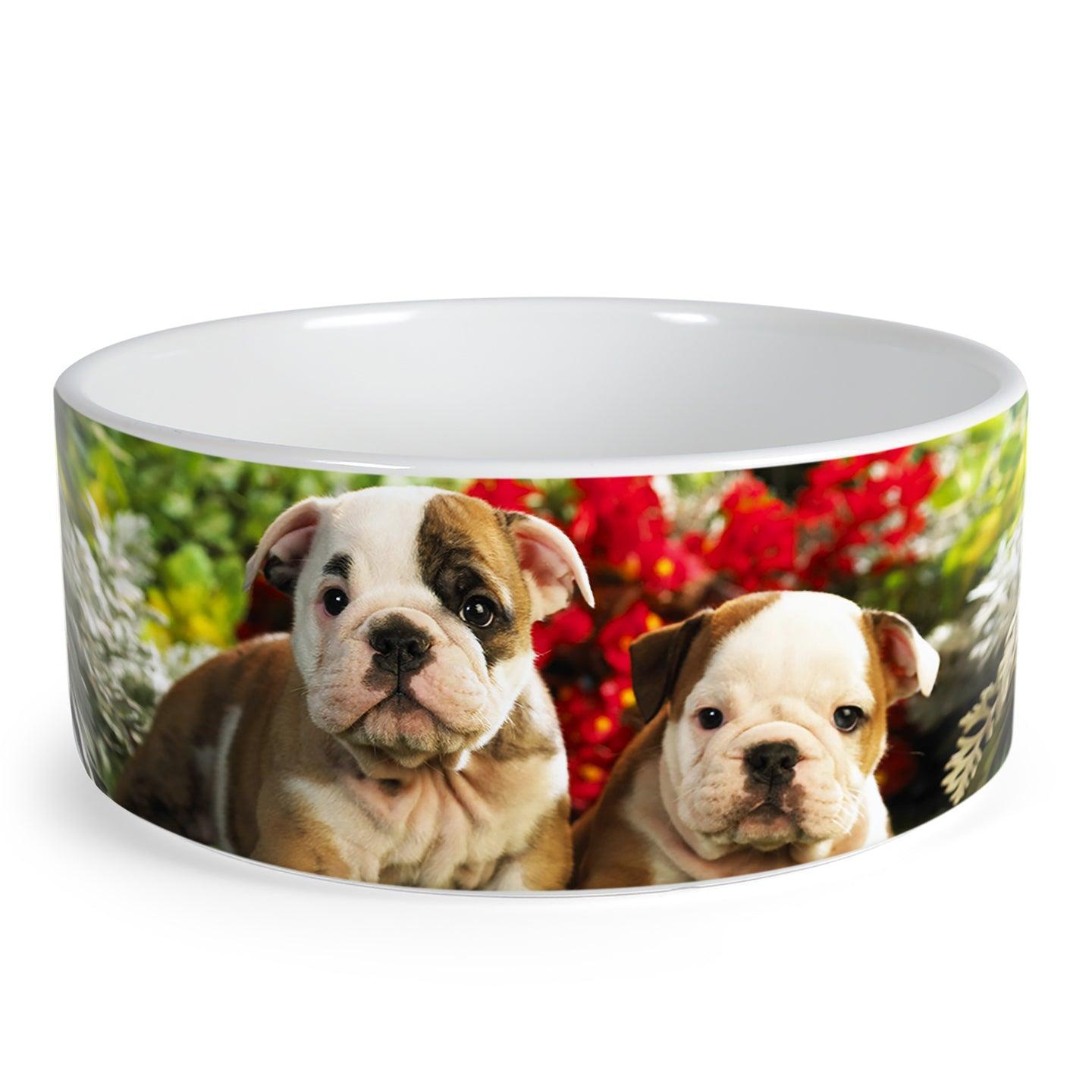 Design Your Own Pet Food Bowl Ceramic 6 or 7 White – Squishy Cheeks