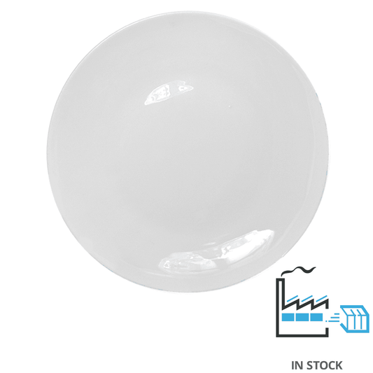 Plate Without Gold Rim - 10" , , PHOTO USA